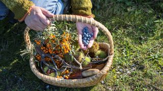 close up of woman with foraging basket