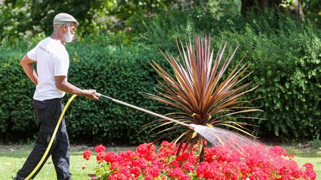 A man waters his garden during the heatwave