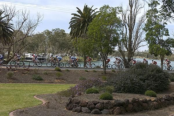 The peloton ride between the Murray River and the Mildura Gardens in Northern Victoria.