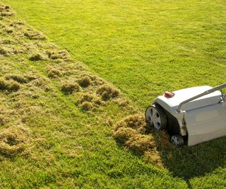 a lawn mower preparing the lawn for scarifying