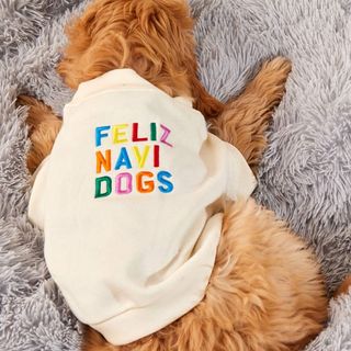 A brown furry dog laying on its stomach wearing a white Christmas pullover that says 'Feliz Navi Dogs' in different colors, for Christmas sweaters for dogs.
