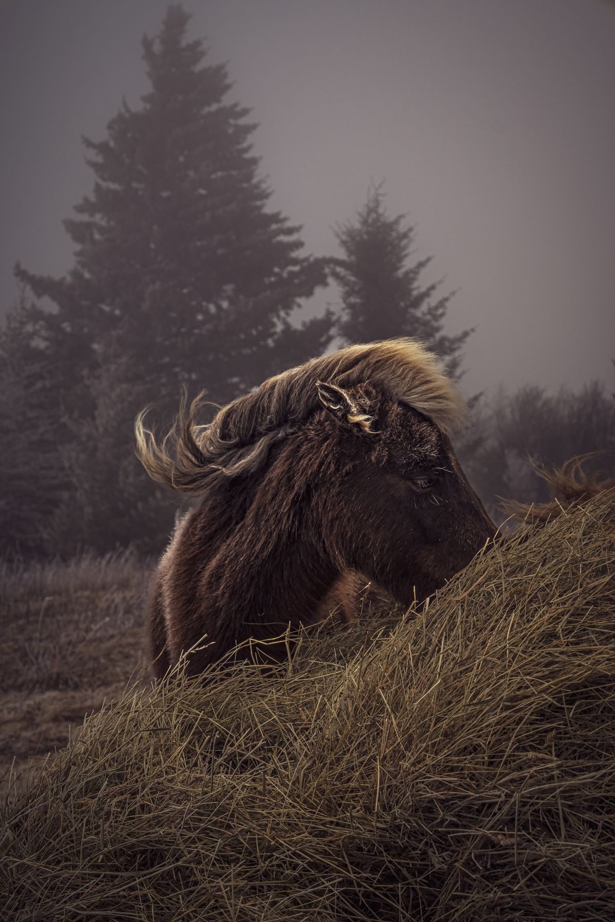 GuruShots - Nature March 2026