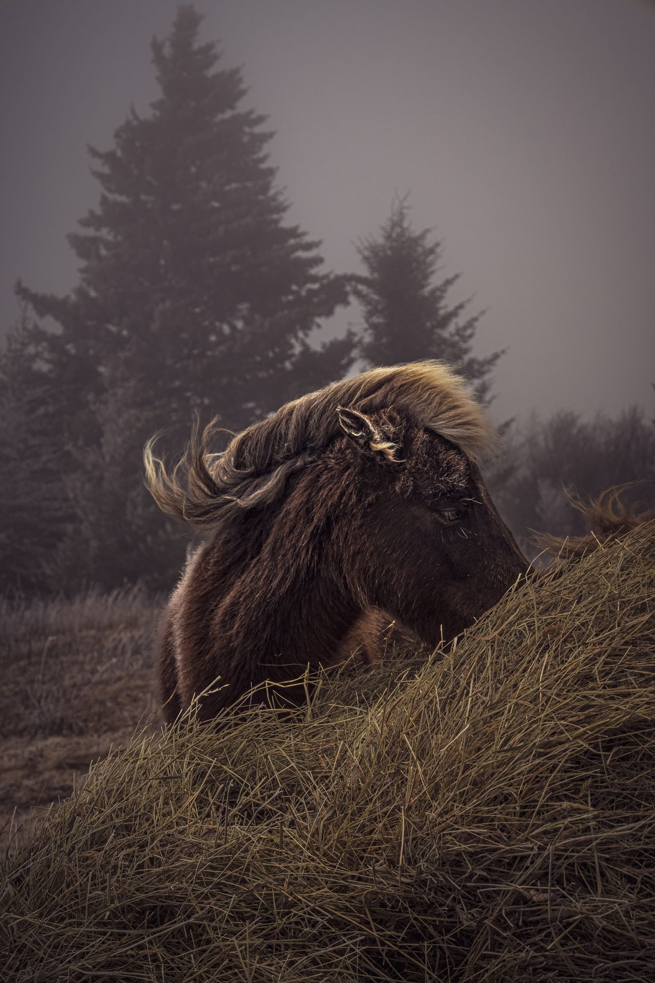 GuruShots - Nature March 2026