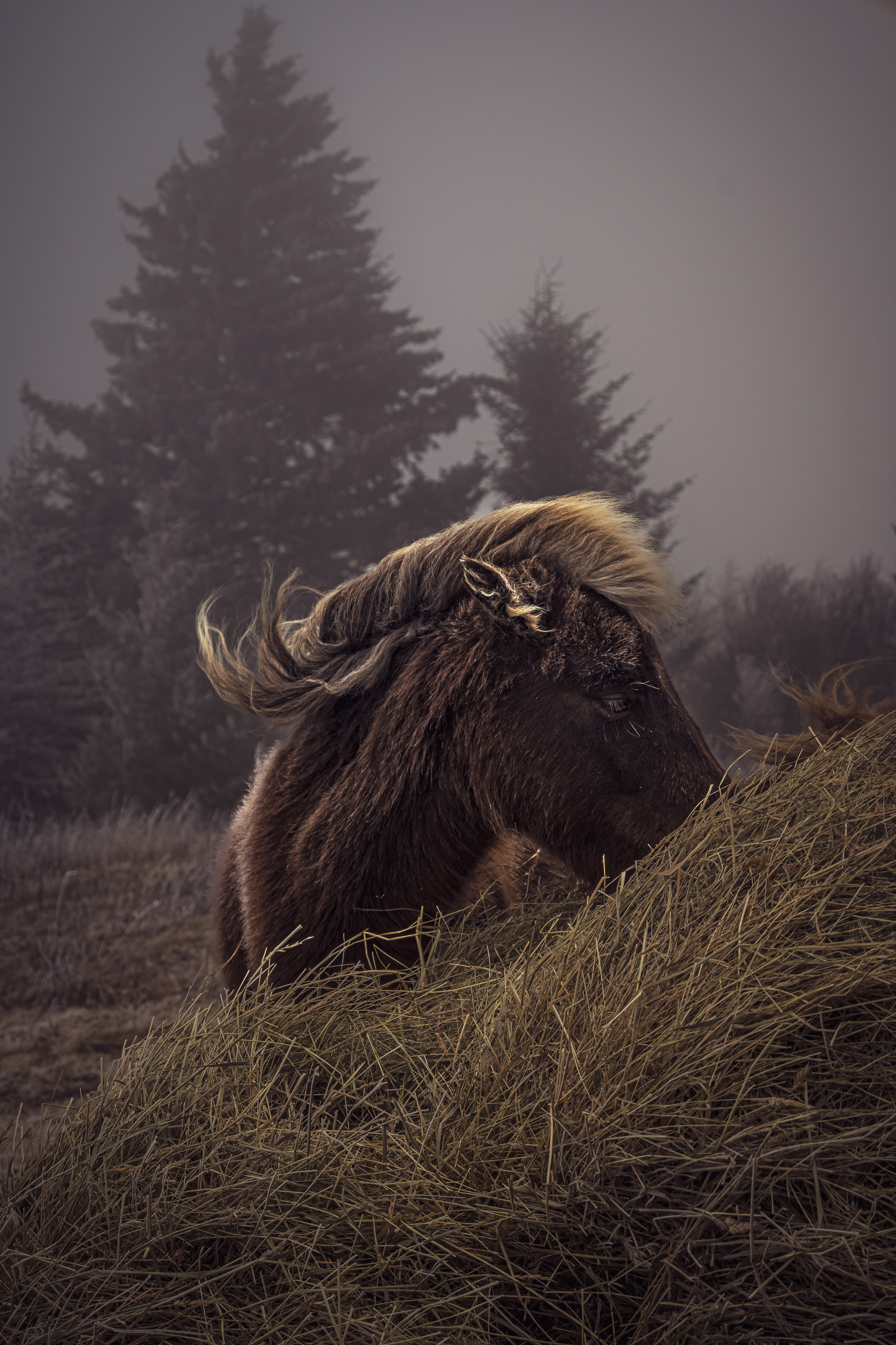 GuruShots - Nature March 2026