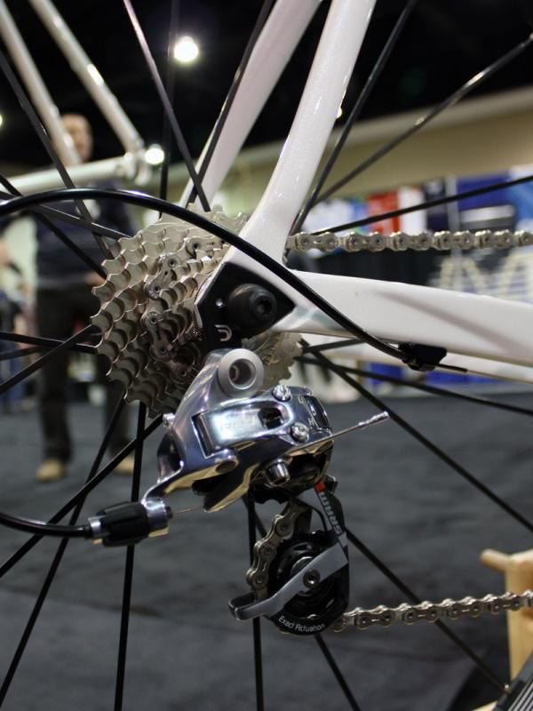 The replaceable derailleur hanger's shape is even incorporated into the design of the adjoining stays.