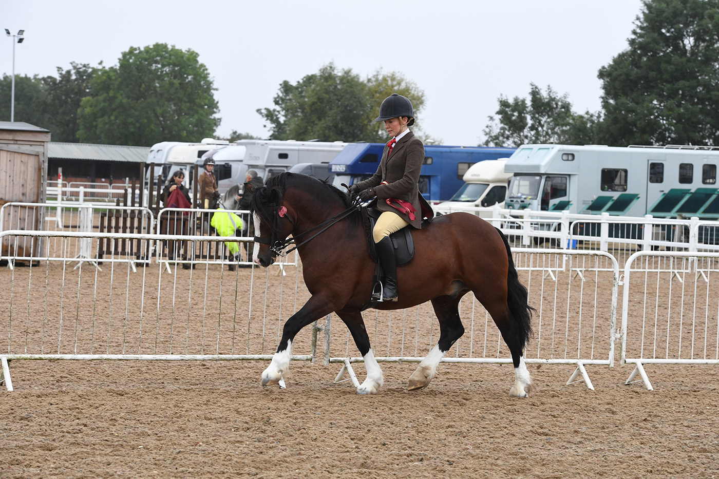 Heritage Show 17.10.21CL 88No.273 Gems Malt Whiskey. April Gilmartin