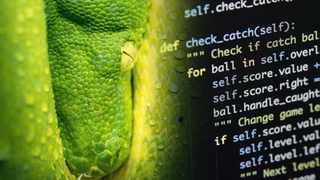 A close up photo of a green python snake next to a string of python code on a black monitor