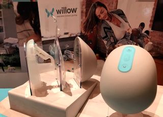 Willow