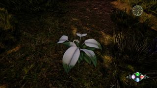 shenmue 3 herbs locations
