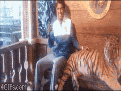 Man Posing With Tiger Gets Scared When Tiger Moves