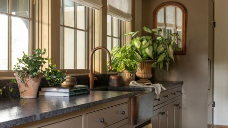 Mudroom with cabinetry and walls painted in Farrow & Ball's Broccoli brown, three large windows, a dark marble countertop, a sink with a skirted cupboard underneath, and plants in rustic pots.