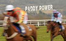 cheltenham-paddypower.jpeg