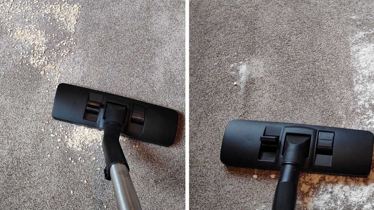 George wet dry vacuum carpet dry pickup