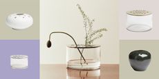 collage of H&M Home Ikebana vases with flower stems