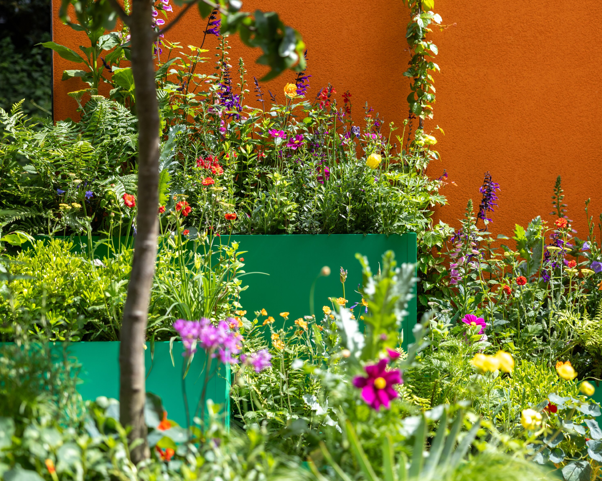 array of flowers in a show garden at RHS Chelsea Flower Show 2026