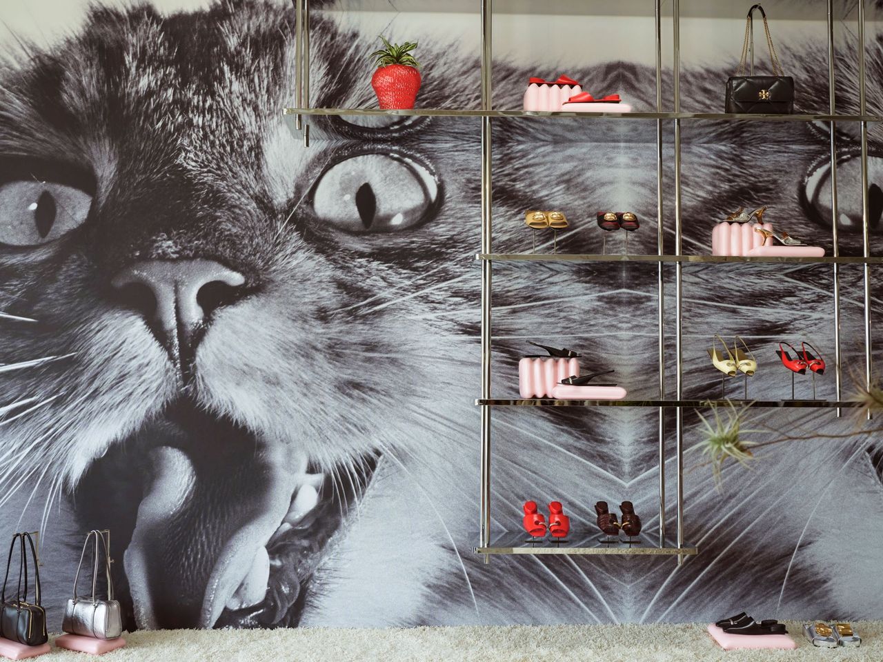 Inside Tory Burch Melrose Store with giant cat image on wallpaper