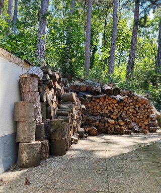 firewood storage in yard