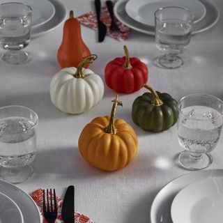 colorful pumpkins on a set table