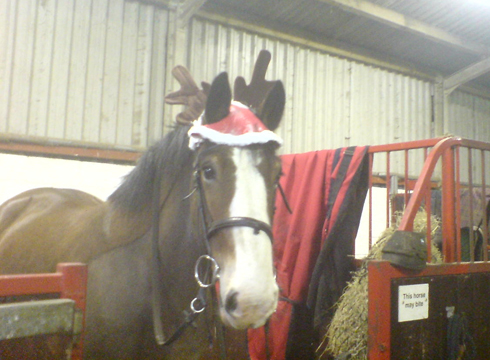 hovis-reindeer1.jpg