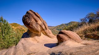 A photo of the Trovants, bulbous stones emerging from the earth