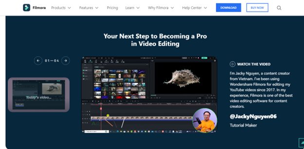Website screenshot for Filmora12