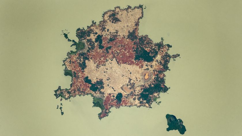 An astronaut photo of a large island and a smaller island in a milky green lake