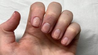 beauty writers nails after getting an ethos nail treatment during a manicure