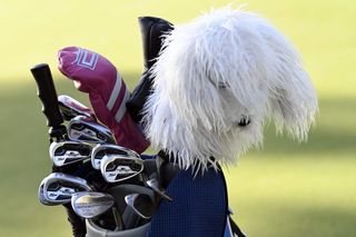 Lexi Thompson Golf Bag
