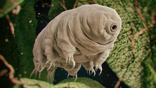 A protein found only in tardigrades provides cellular DNA with a unique form of protection.