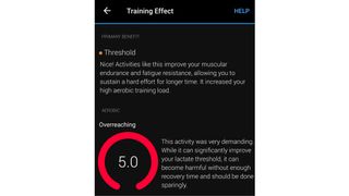 Training effect page in Garmin Connect