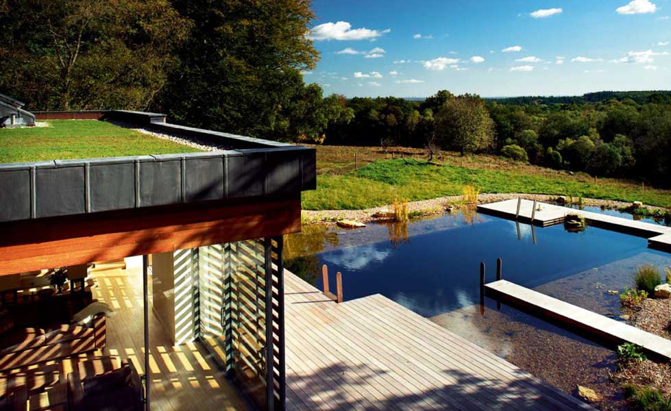 Natural swimming pond in grounds of New Forest self build