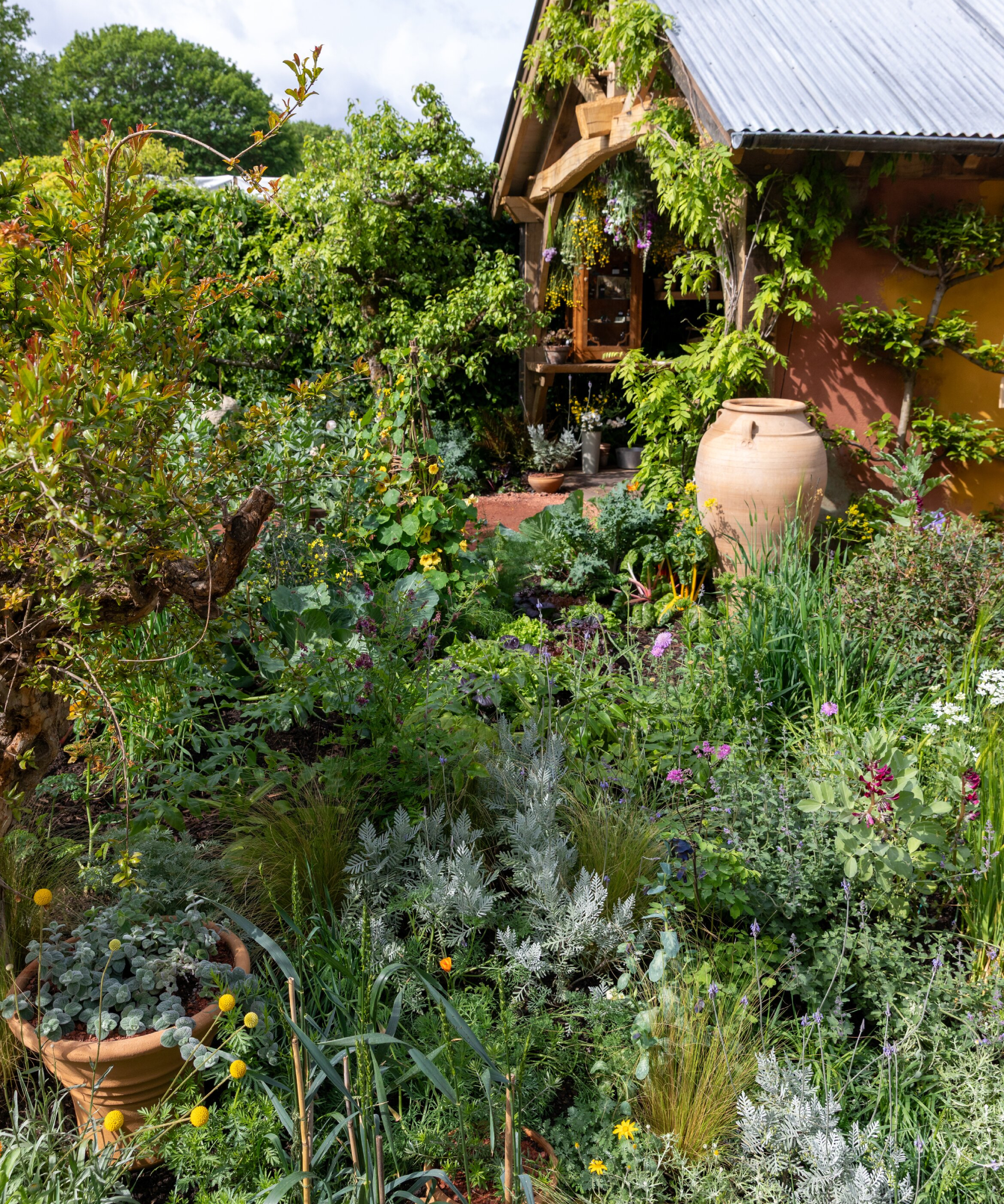 Show garden showing mixed edible and ornamental planting, RHS Chelsea Show Garden 2026
