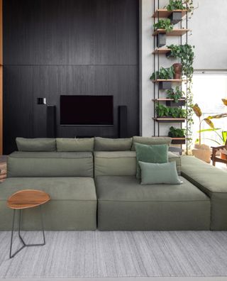 A living room with green sofa and grey rug