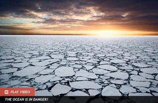 Sea ice in the Ross Sea