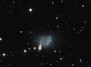Dwarf Galaxy ESO 489-056