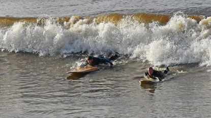 surfing the Severn Bore