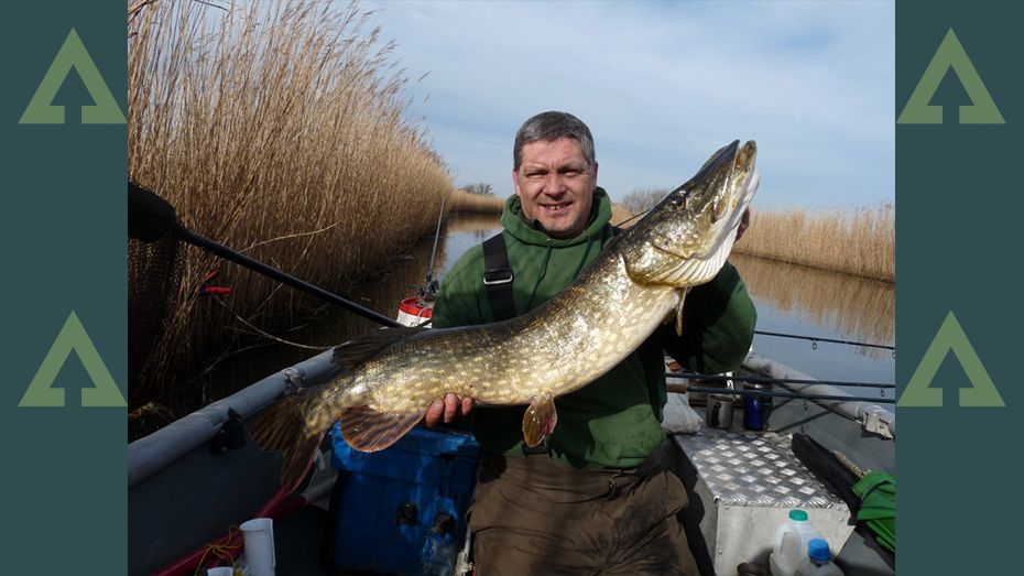 The pike fishing year Understanding the calendar Advnture