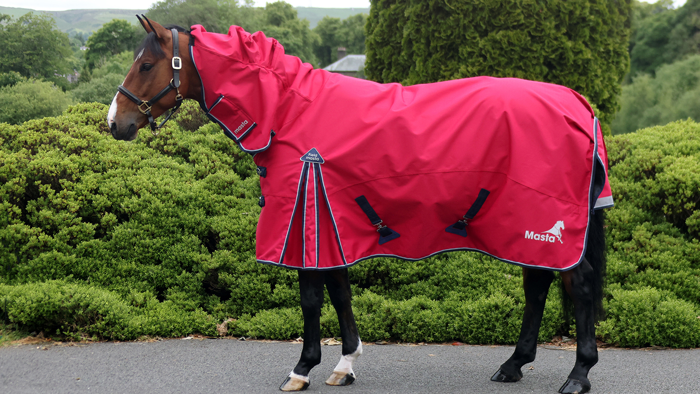 Masta Fieldmasta Lightweight Combo Neck Turnout rug