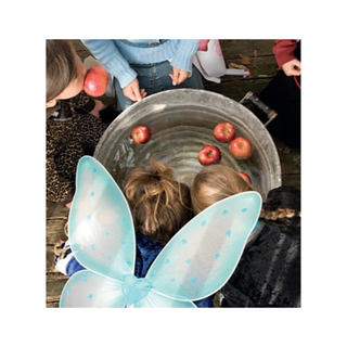 Halloween - Apple Bobbing