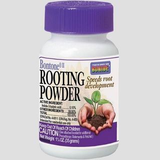 Bontone Ii Rooting Powder - 1.25 Oz. Bottle