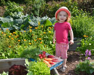 small girl in vegetable garden