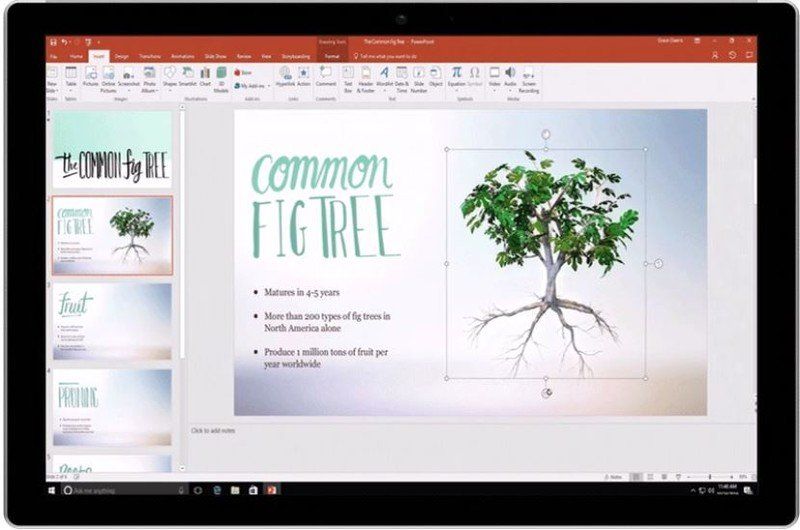 Office 365