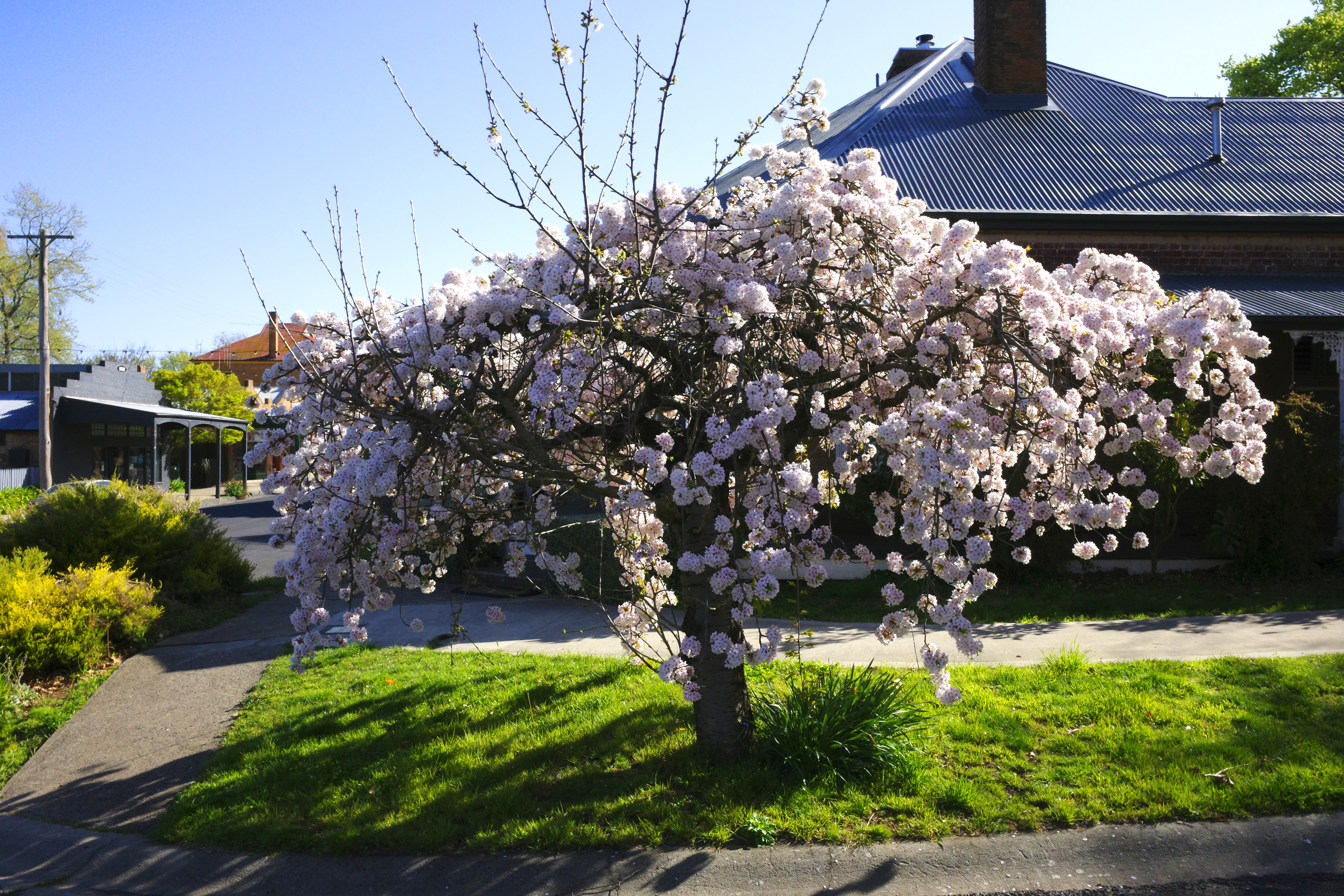 Images shot on the Ricoh GR IV