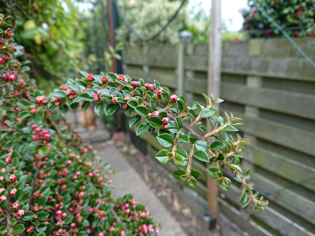 Switch to manual mode and you can control the focus point &ndash; here we picked out the foreground detail&hellip;