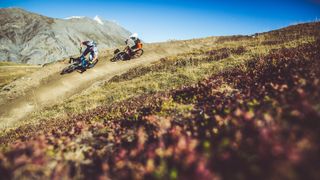 Mountain bikers on a trail in the Italian Alps