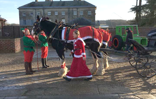 Rider xmas traditions - web feature