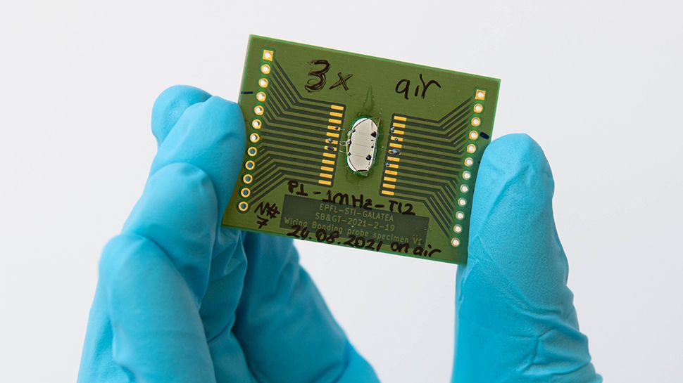 Wiring bonding probe specimen