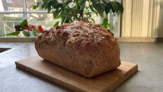 A loaf of bread on the counter - Salter Bakes Stand Mixer