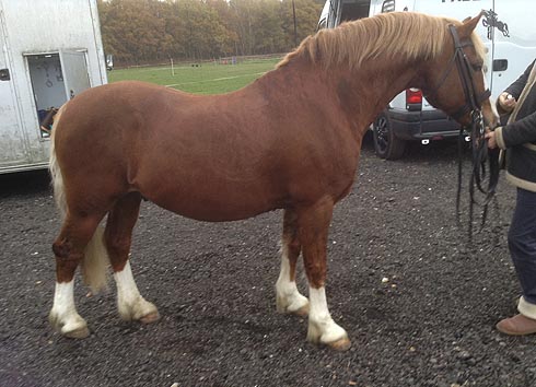 Chloe Chubb's Jacob