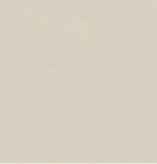 A beige color swatch 